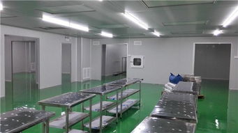 專業(yè)無塵實驗室建設(shè)專家 無錫谷能凈化與石家莊無塵實驗室安裝服務(wù)詳解